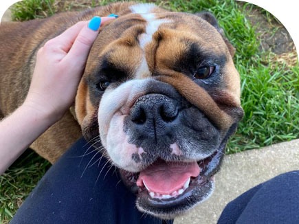 One to one attention