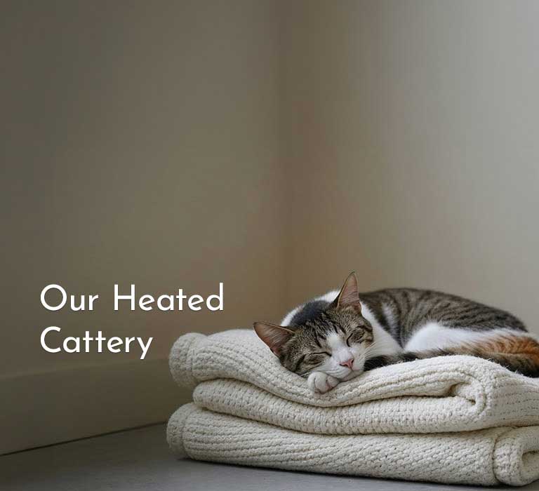 Heated Cattery