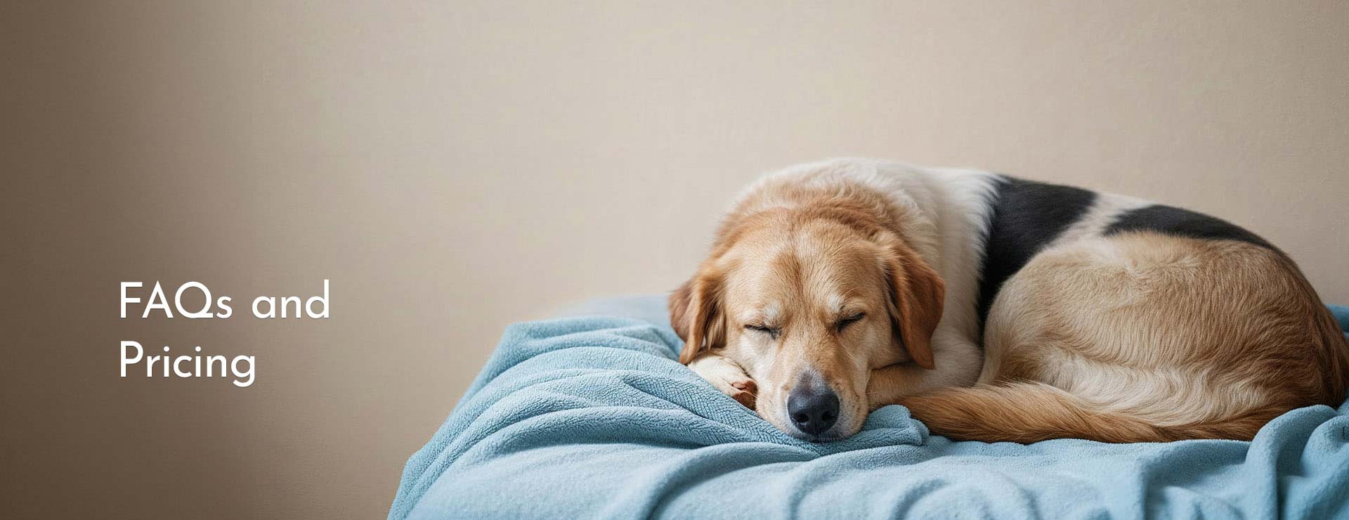 Frequently Asked Questions and Pricing