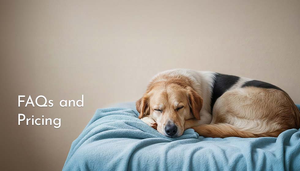 Frequently Asked Questions and Pricing