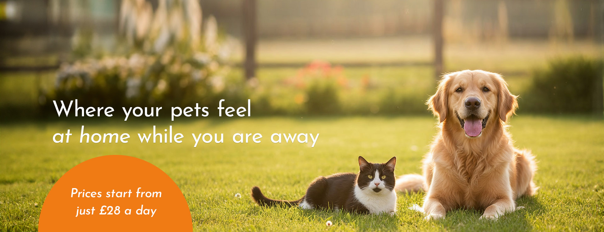 Where your pets feel at home while you are away