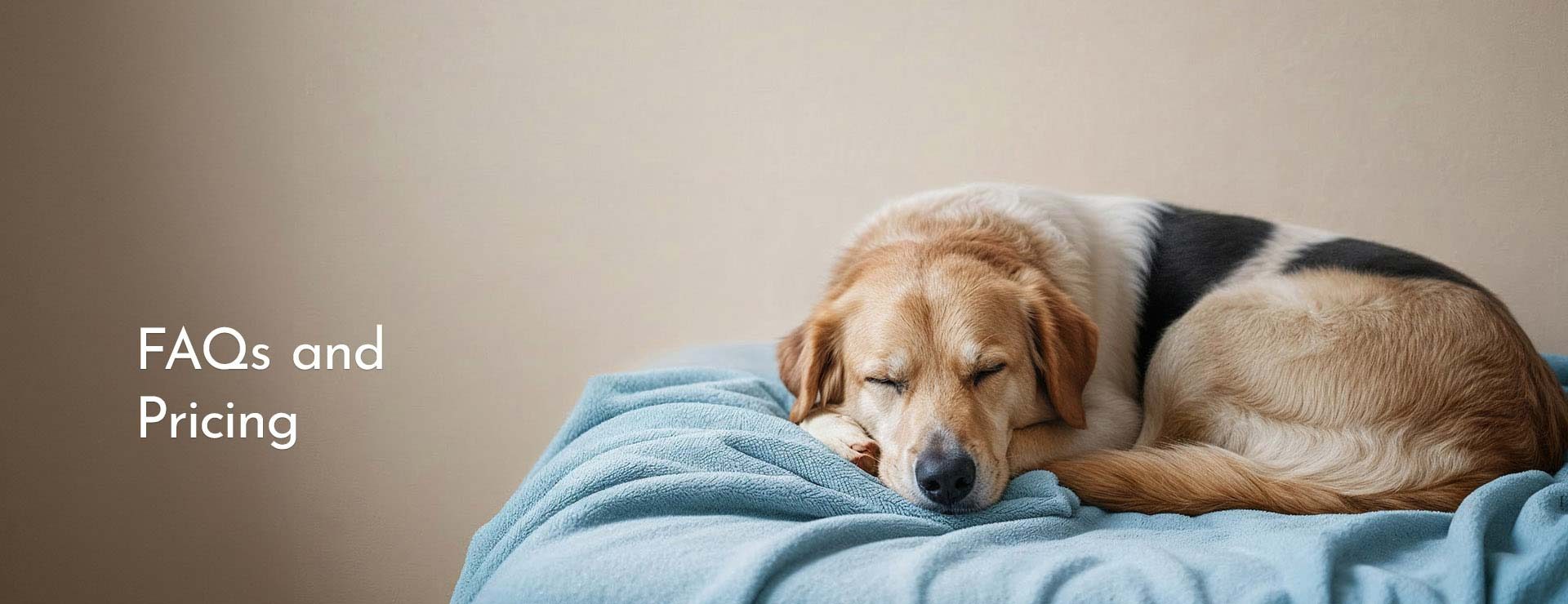 Frequently Asked Questions and Pricing