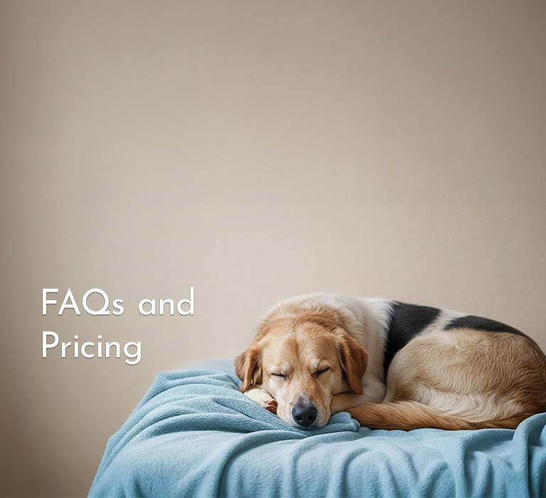 Frequently Asked Questions and Pricing